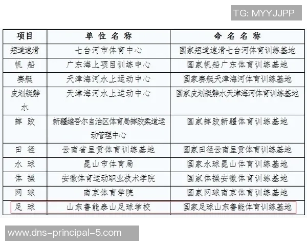 学校足球队本年度表现总结与未来发展规划探讨