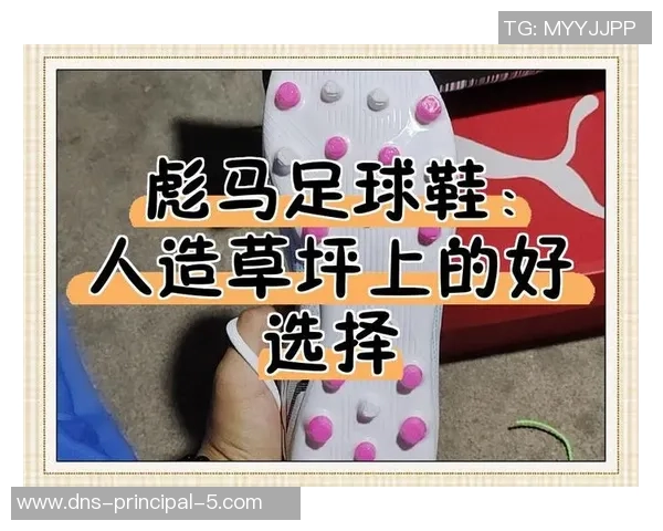 彪马足球鞋价格揭秘让你轻松选择适合自己的款式与预算
